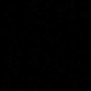 Meet your Posher, Keira